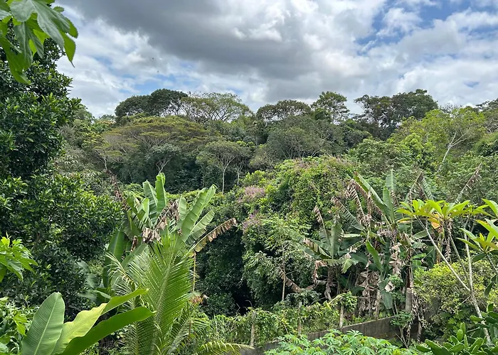 Suite Em Uma Reserva Ambiental Com Piscina