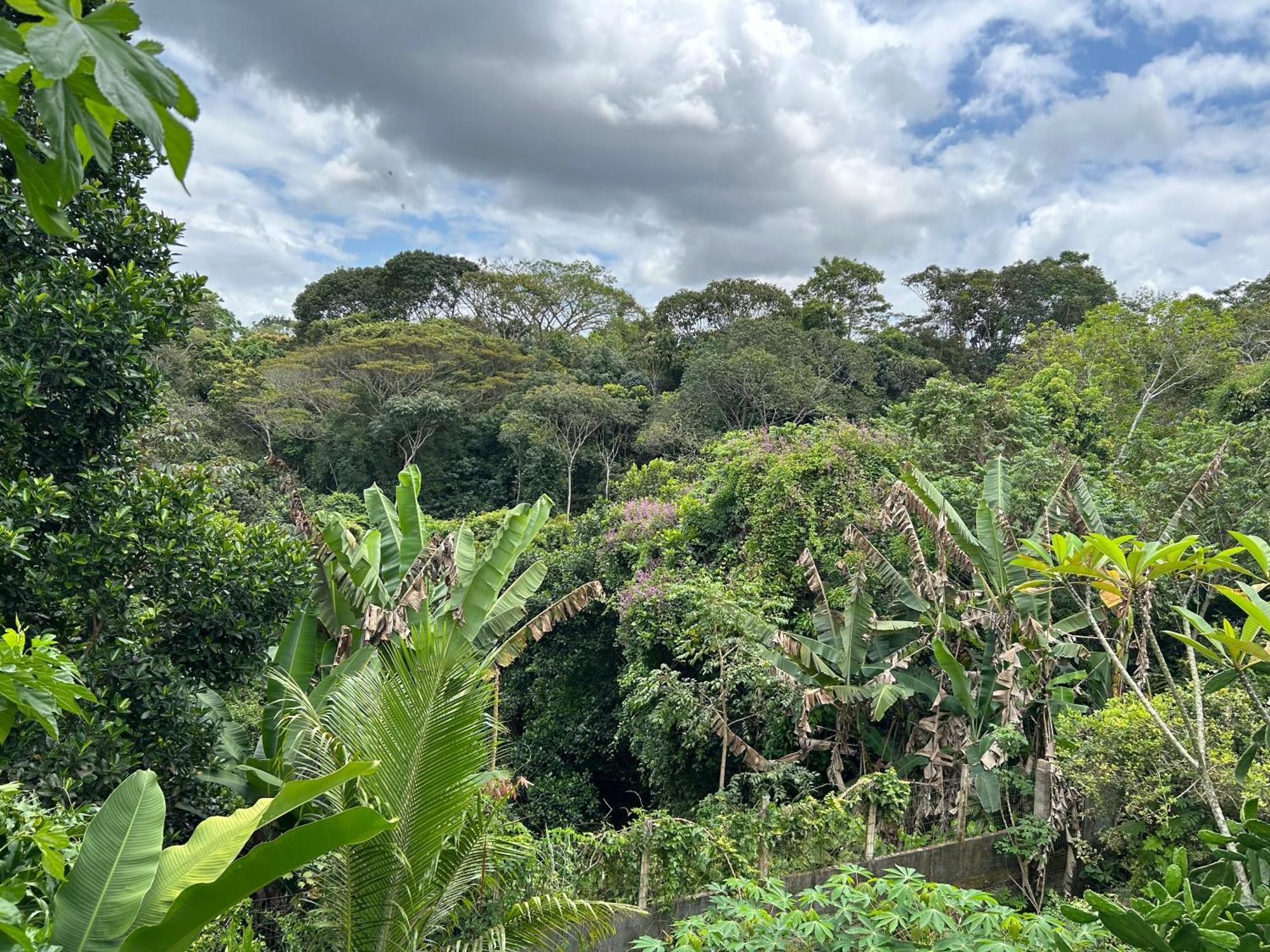 Holiday home Em Uma Reserva Ambiental Com Piscina *