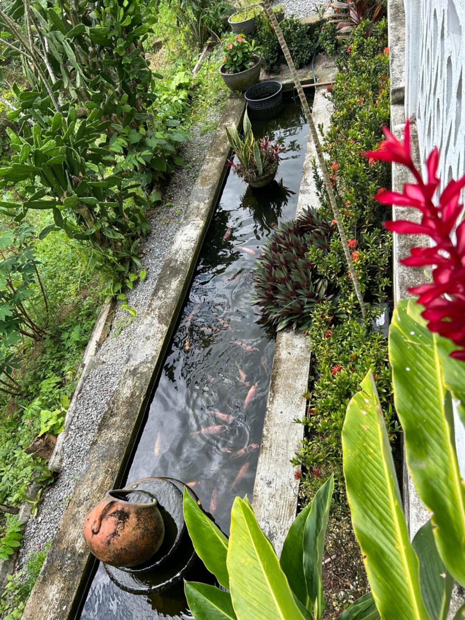 Holiday home Em Uma Reserva Ambiental Com Piscina Camaragibe