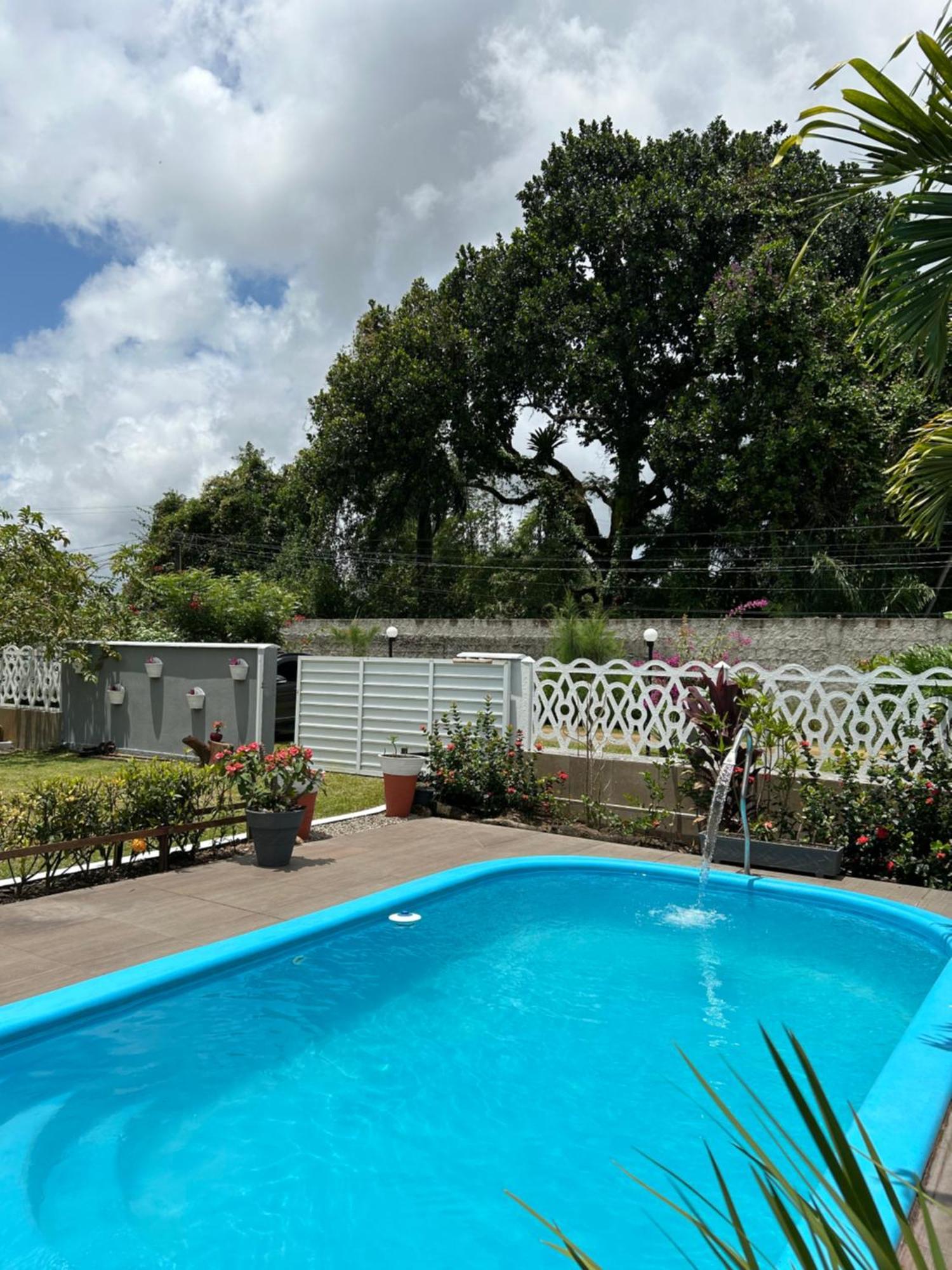 Em Uma Reserva Ambiental Com Piscina